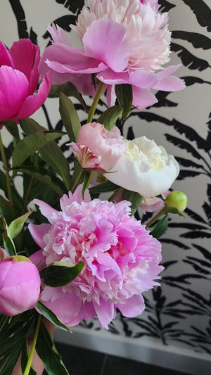 2025 PEONY SHARE