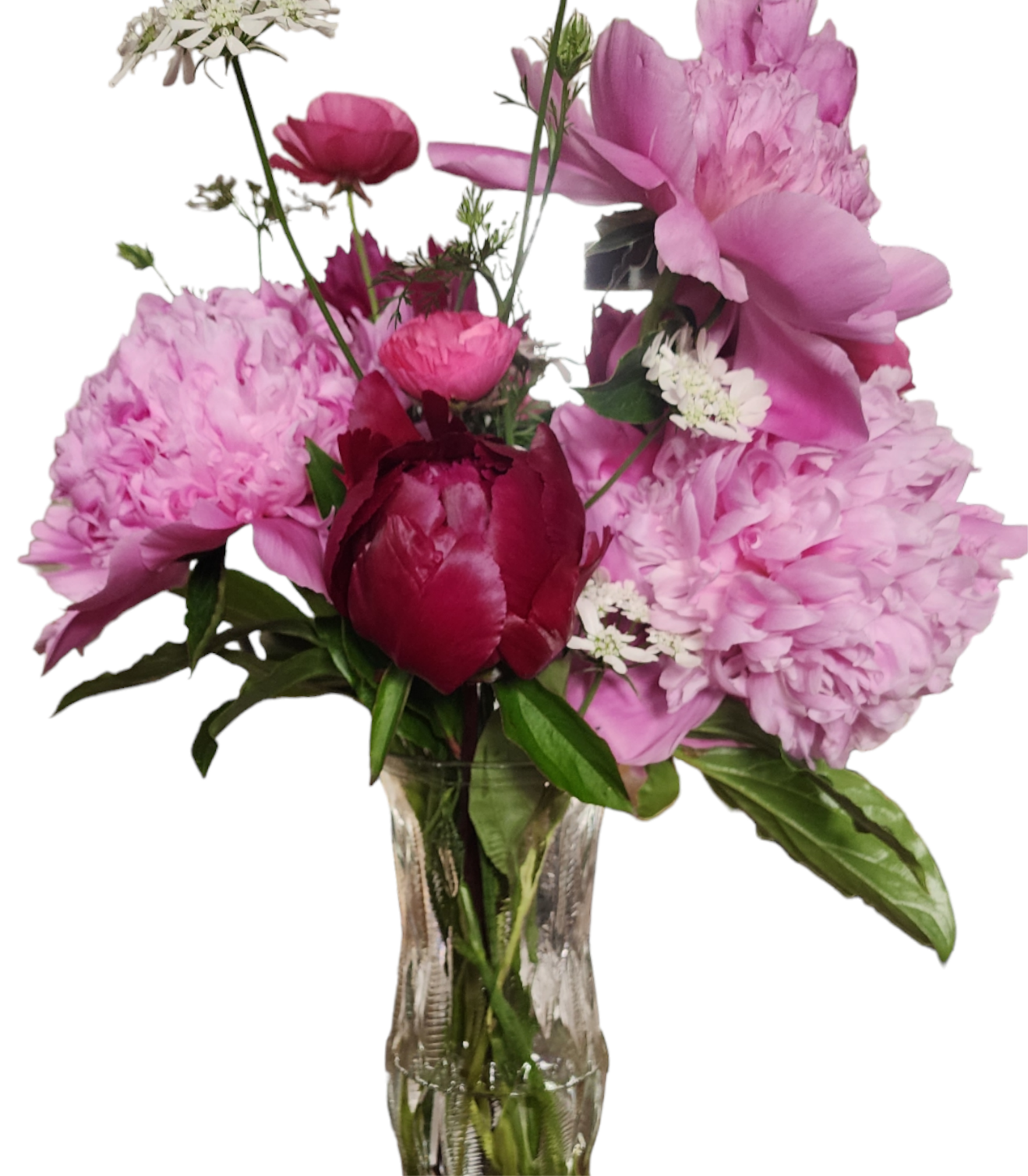 2025 PEONY SHARE