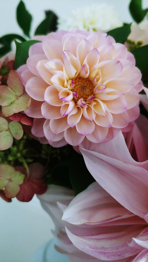 a vase filled with pink and white flowers 