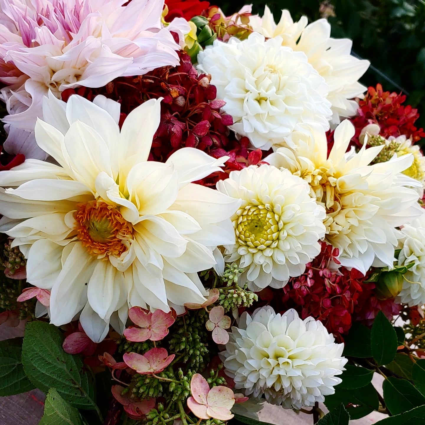 a white vase filled with white and red flowers 