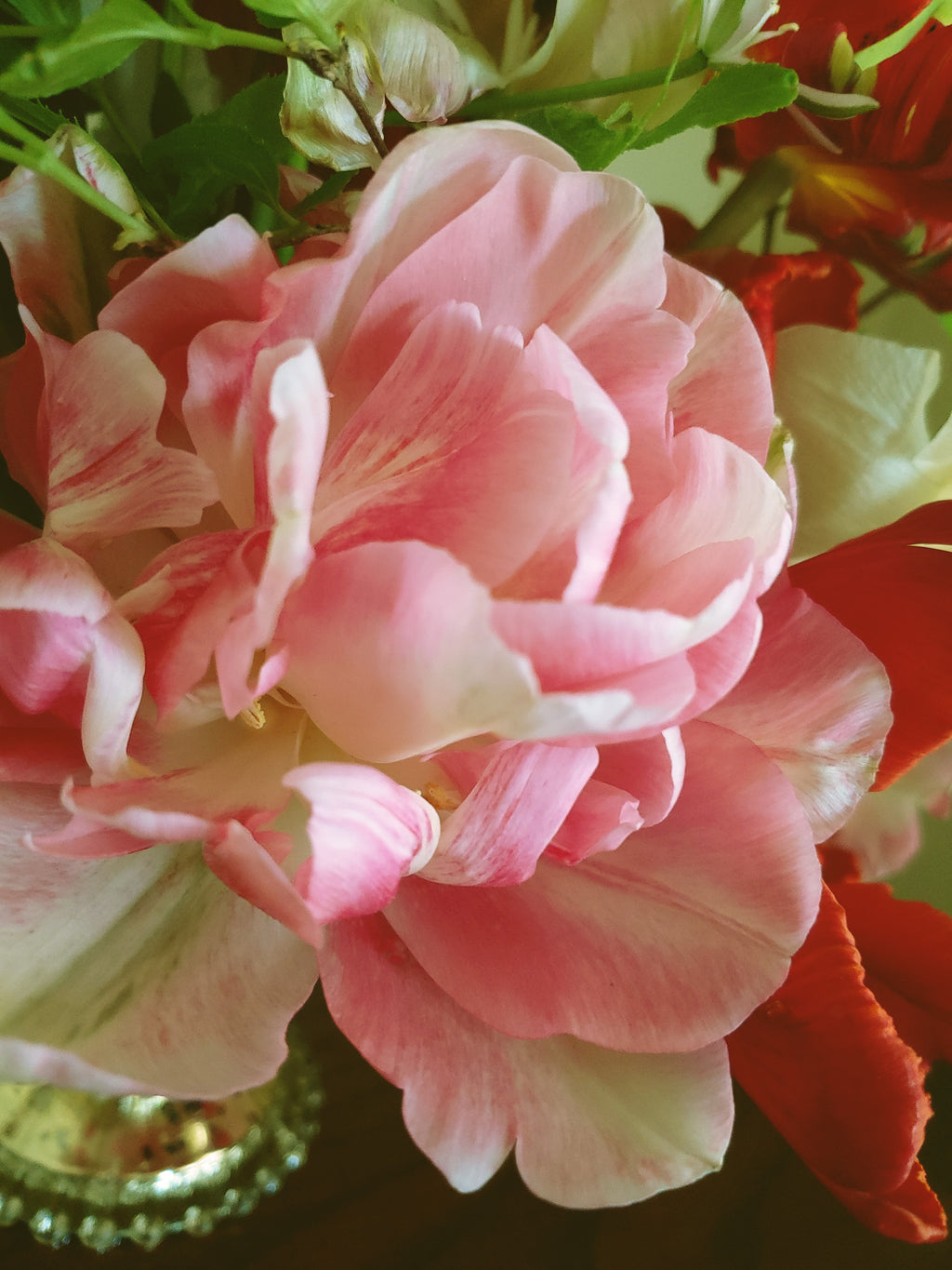 a close up of tulip flowers in a vase 